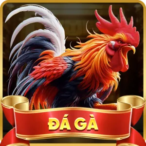Mạng xã hội gacam67 thể thao