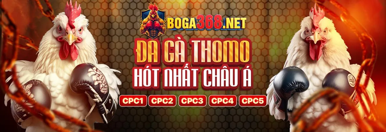 Banner khuyến mãi cá cược thể thao